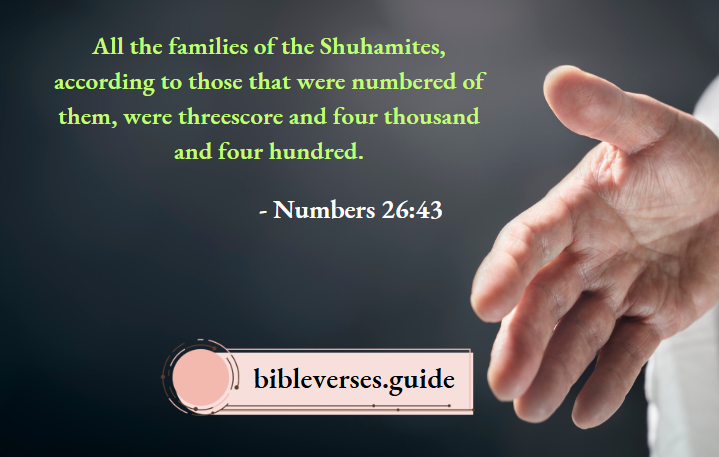 Numbers 26-43