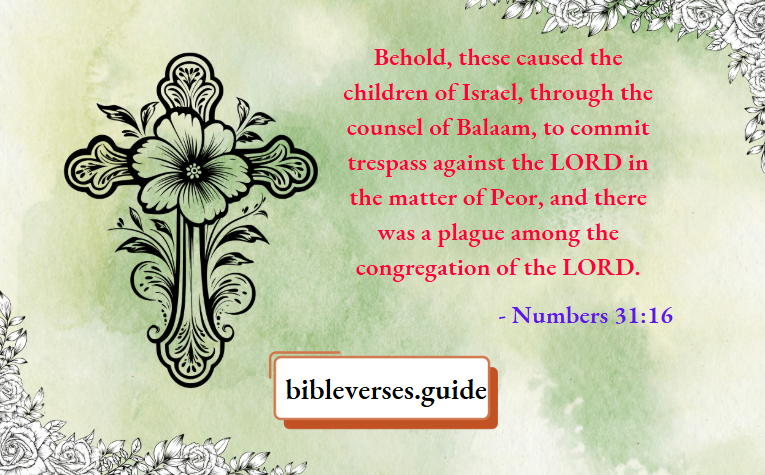 Numbers 31-16