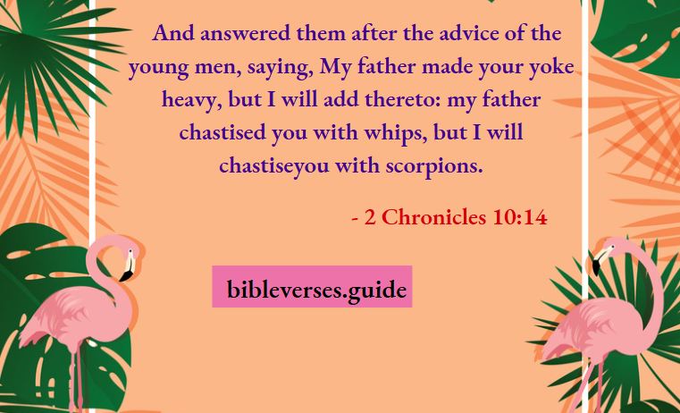 2 Chronicles 10-14