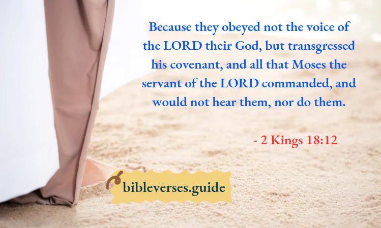 2 kings 18-12