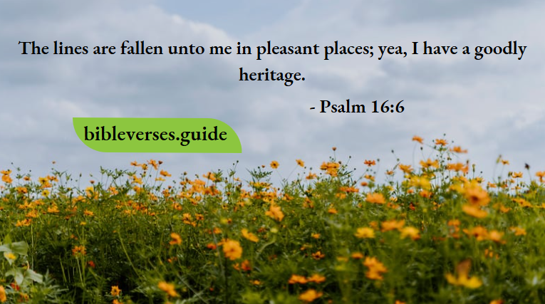 Psalm 16-6