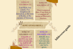 Song of Solomon 1: The Poetry Of Love And Desire - Bible Verses